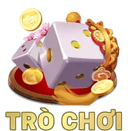Hỗ trợ khách hàng 5pet